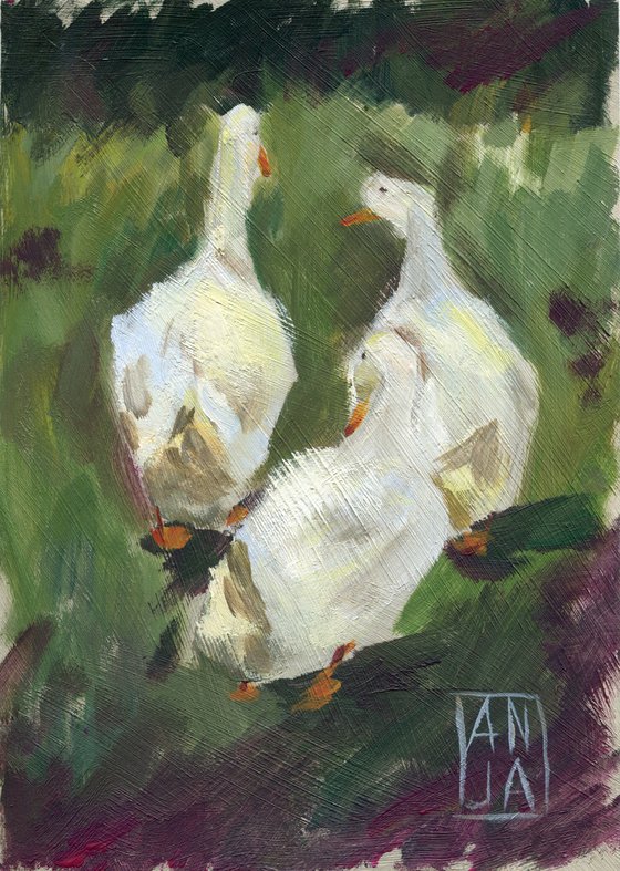 Afternoon Gossip