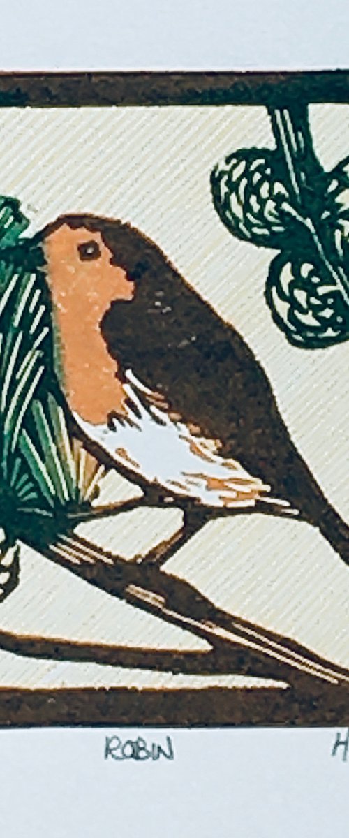 Robin by Helen Maxfield