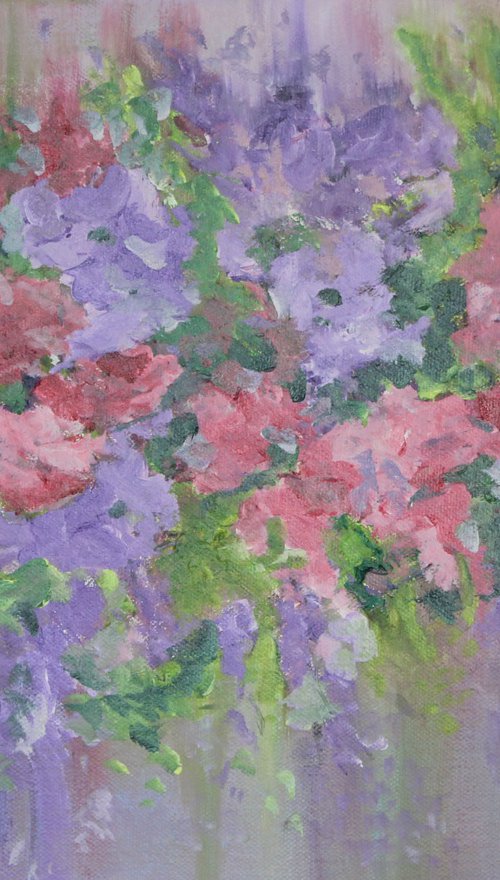 Petal explosion. by Debbie Young
