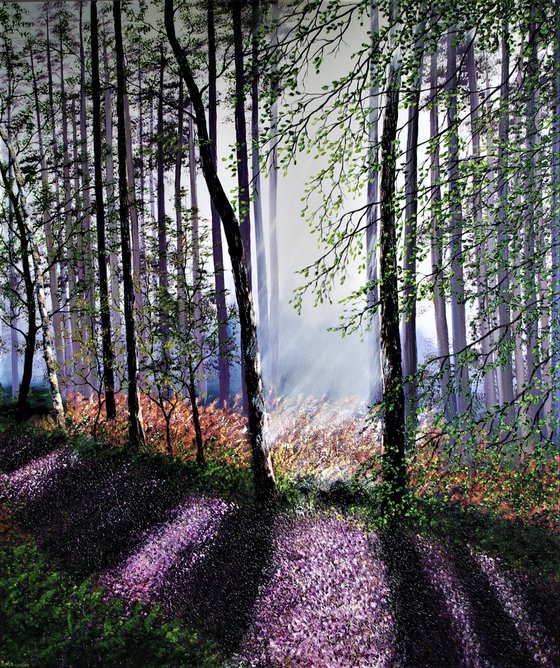 Awakening Light Through The Forest