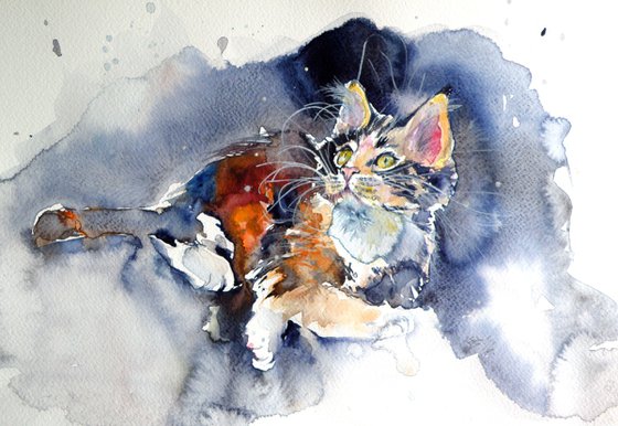 Cat resting
