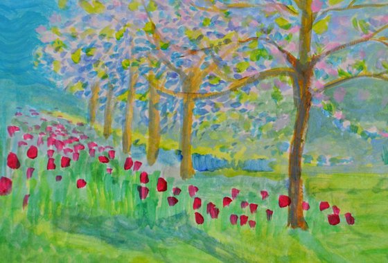 Blossom and Tulips - spring trees and flowers