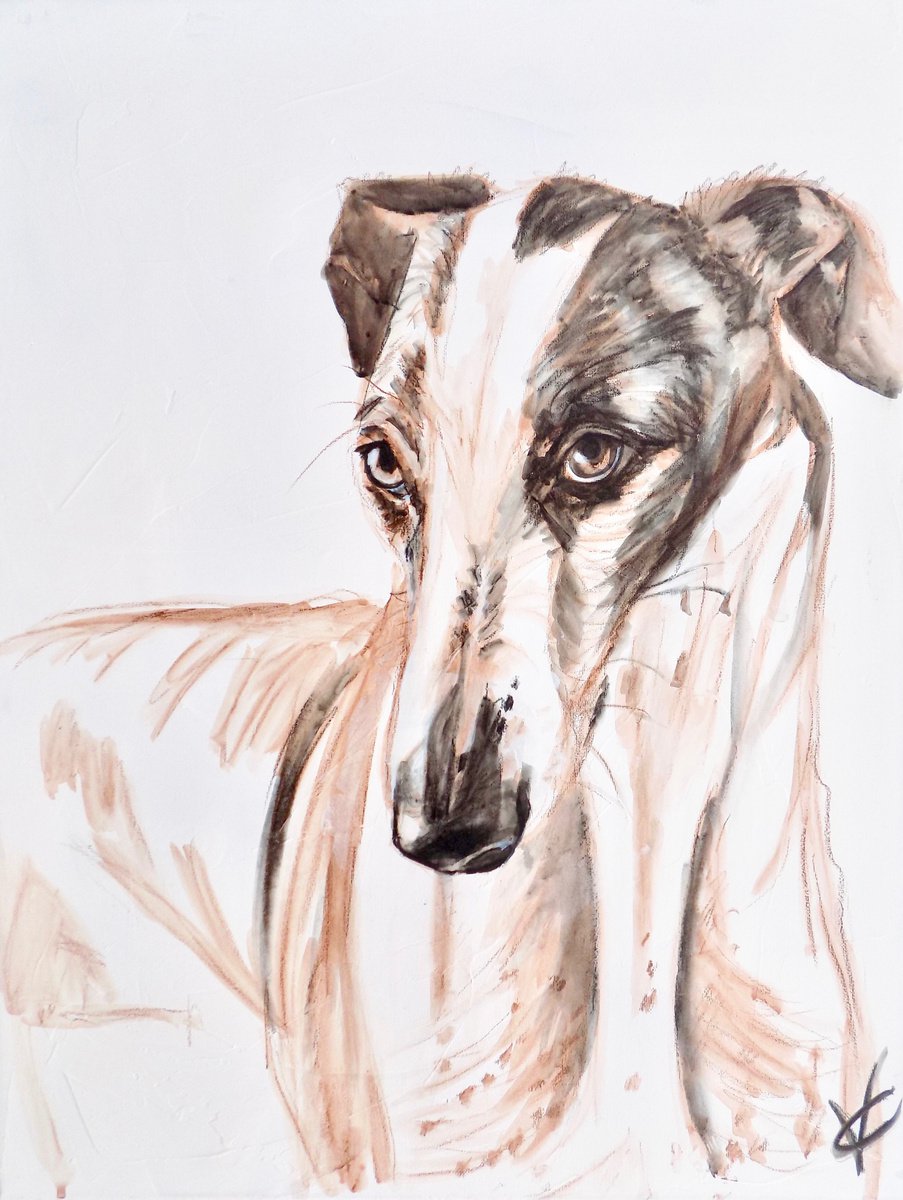 Greyhound Study by Victoria Coleman