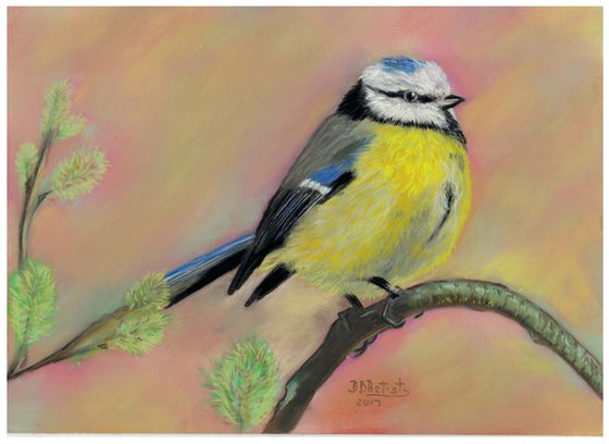 ,, Yellow bird'' pastel on paper