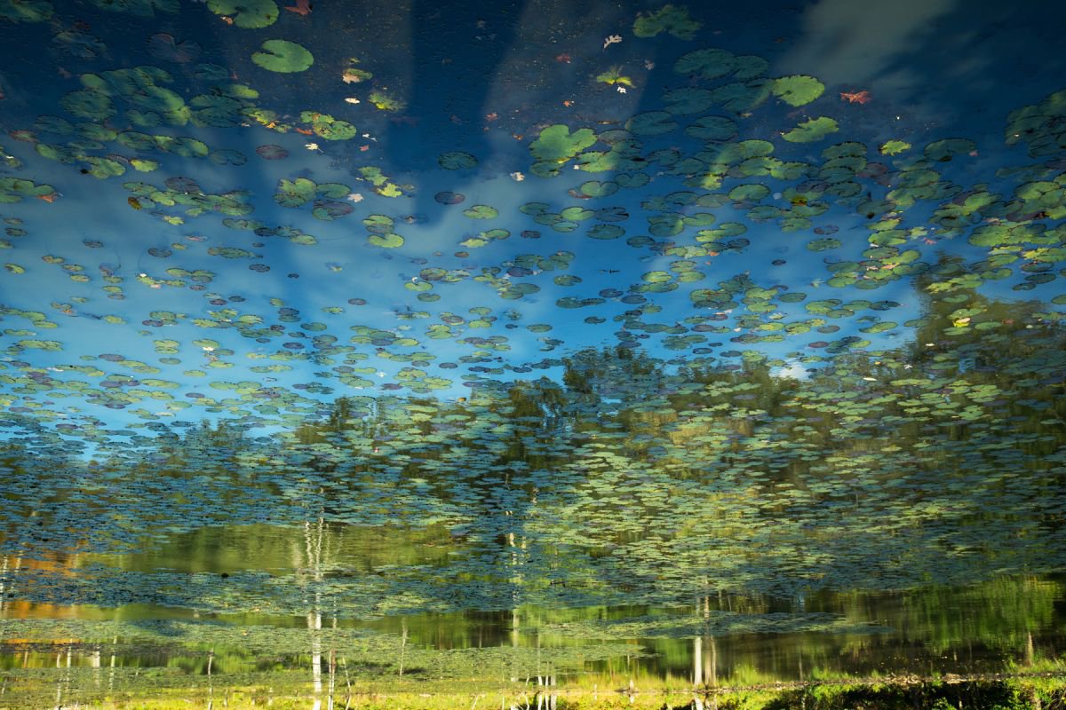 Photorealistic Photograph , Reflection 32 By Michael Filonow, 32 X 22, Artwork For Sale On Artfinder