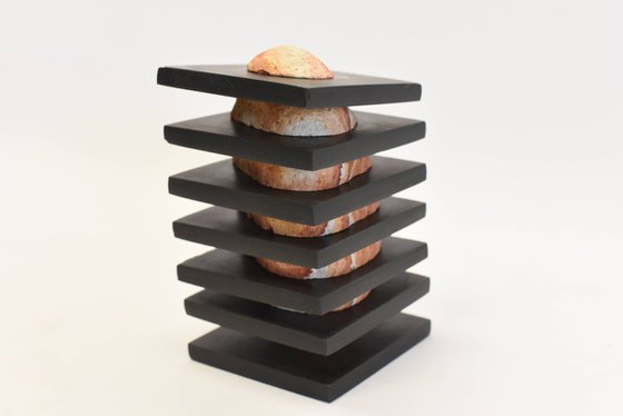 LITTLE HIDDEN BEAUTY