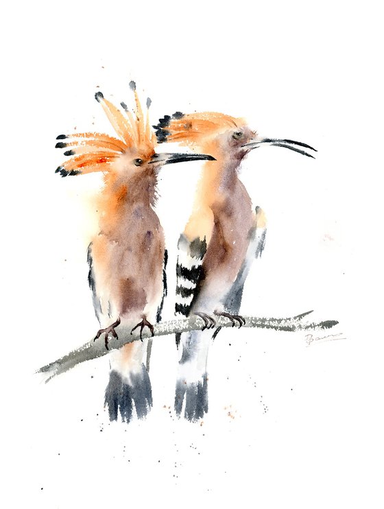 Two Hoopoes  - Original Watercolor Painting