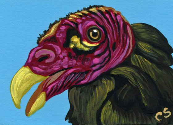 ACEO ATC Original Painting Turkey Vulture Wildlife Bird Art-Carla Smale