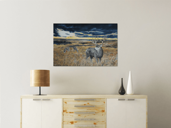 "Prairie Grass" - Landscape - Wildlife - Mule Deer