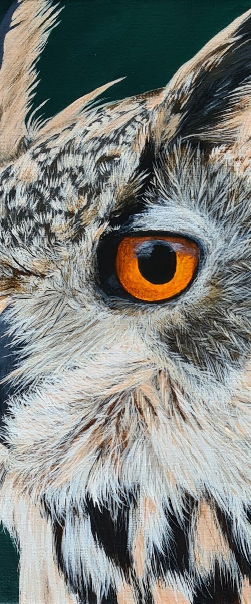 Owl by Denise Martens
