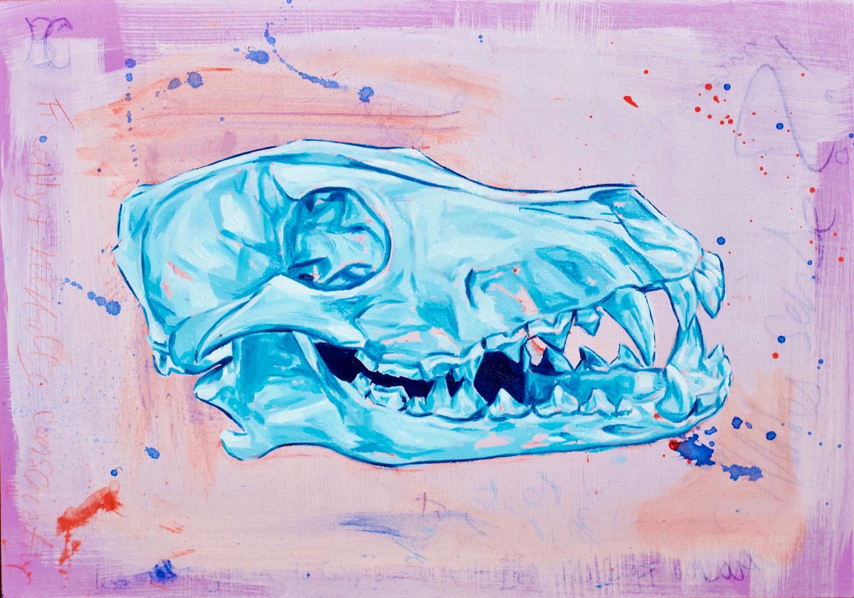 Coyote skull by Paul Ward