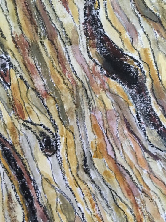 Abstract: bark II