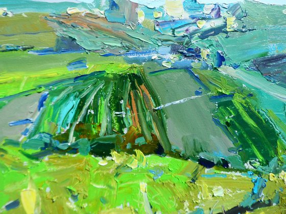 "  Vineyards "