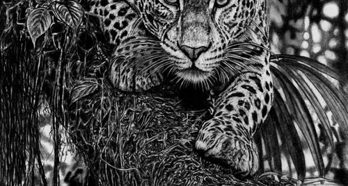 Artwork by Paul Stowe