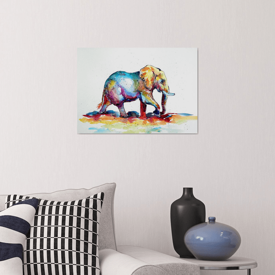 Colorful elephant V.