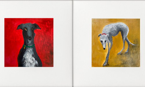 4 greyhound studies by Teresa Tanner