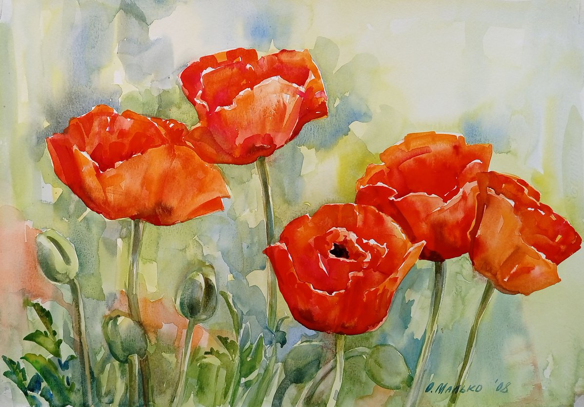 Large red poppies. Plein air artwork / Original watercolor Bright flowers Floral pictures by Olha Malko