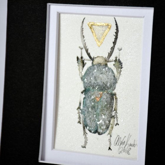 Beetle, Lamprima Adophinae