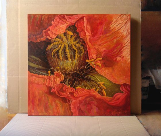 33.5" Red Poppy, Floral Art