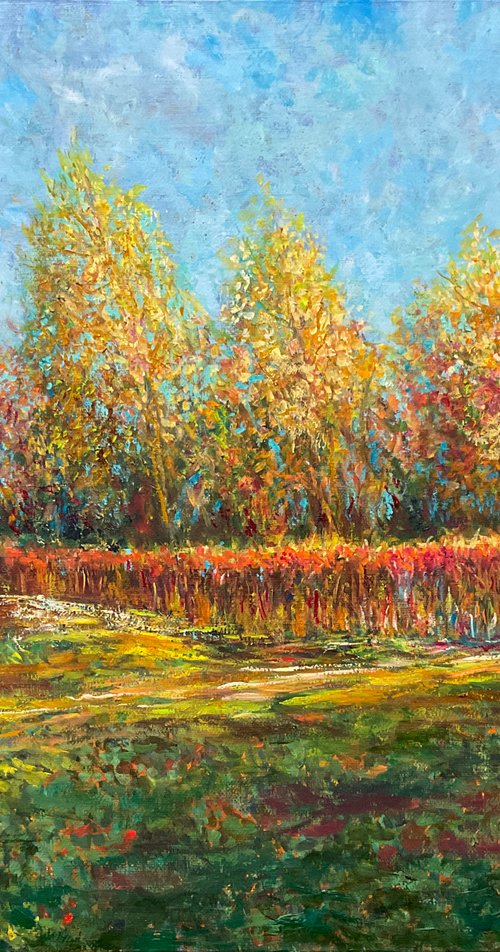 Autumn landscape. Friendship Park. by Albert Safiullin