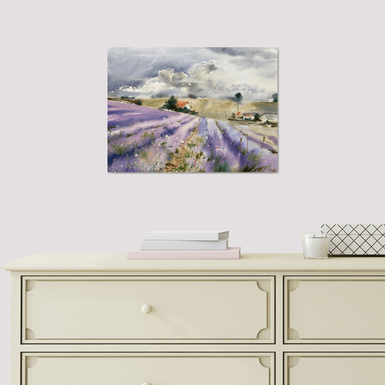 Lavender field and clouds