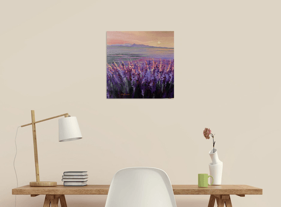 Blushing lavender morning