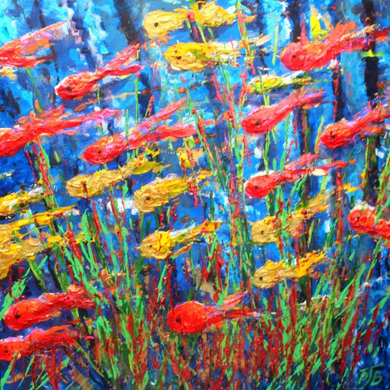 Blue Reef II