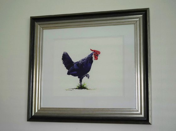 Chicken Run (Framed, ready to hang)