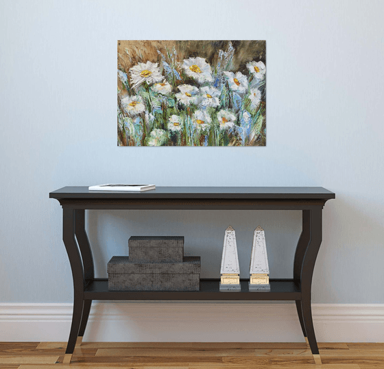 Daisies Meadows