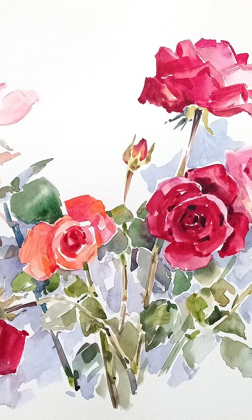 Bright roses. Sketch / ORIGINAL watercolor ~20x14in (50x35cm) by Olha Malko