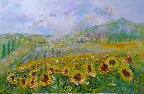 Tuscan Sunflowers 2024