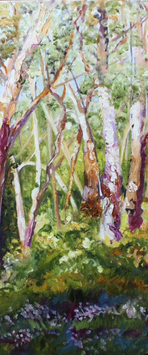 KERSBROOK GUM TREES by Maureen Finck