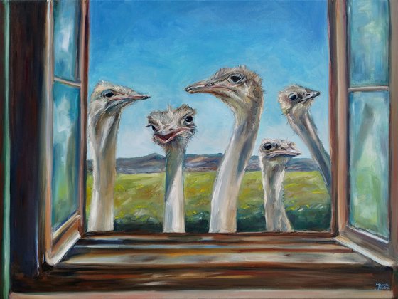 Ostriches At The Window