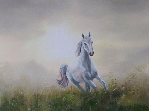 free spirit by cathal o malley