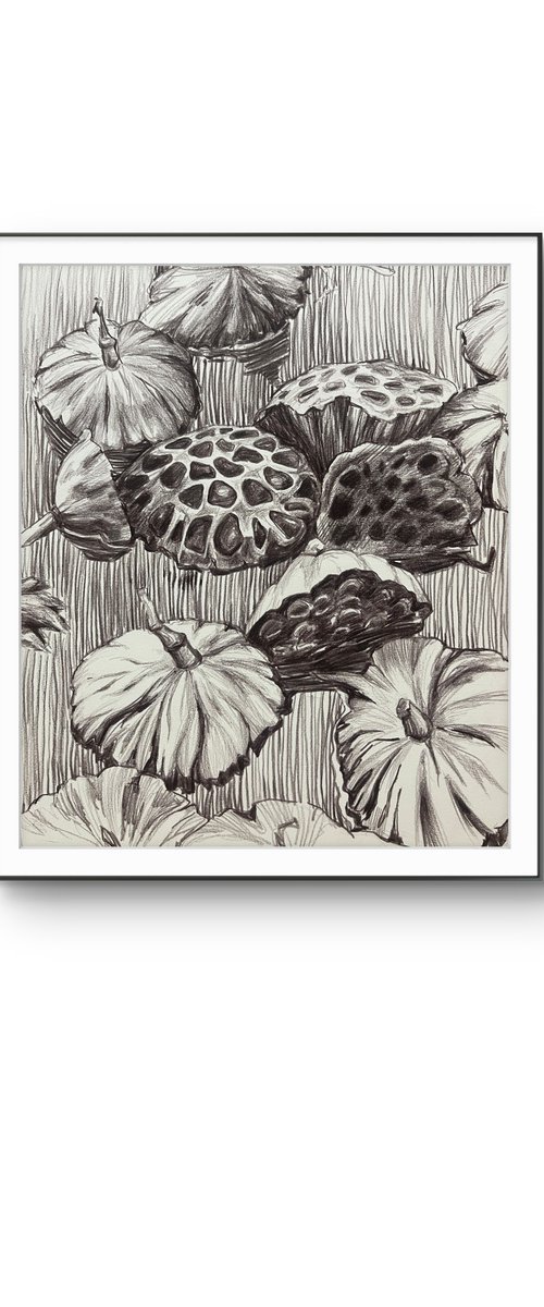 Lotus pods. Water flower by Guzel Min