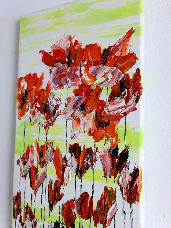 Poppy Flowers