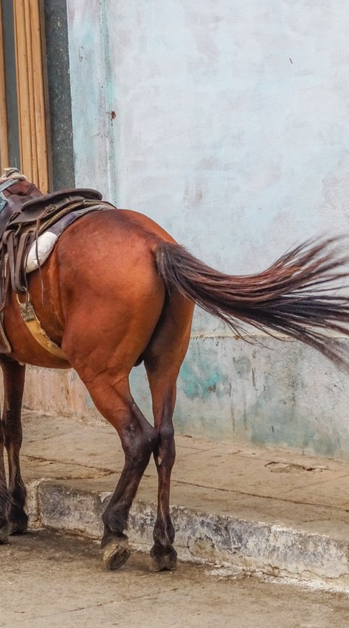 Trinidad ll, Cuba, January 2016  Limited Edition Giclée Print by Anna Bush