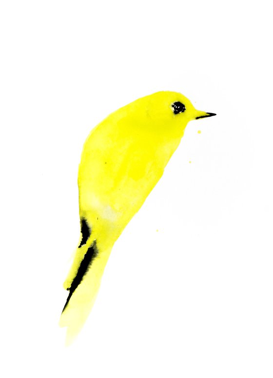 Bird