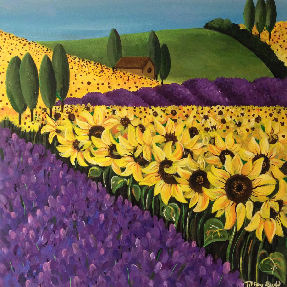 The Sunflower and Lavender Fields Artfinder