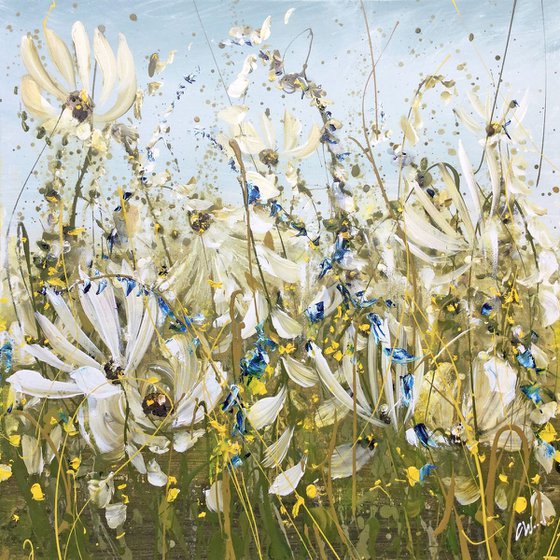 Daisy Meadow 3