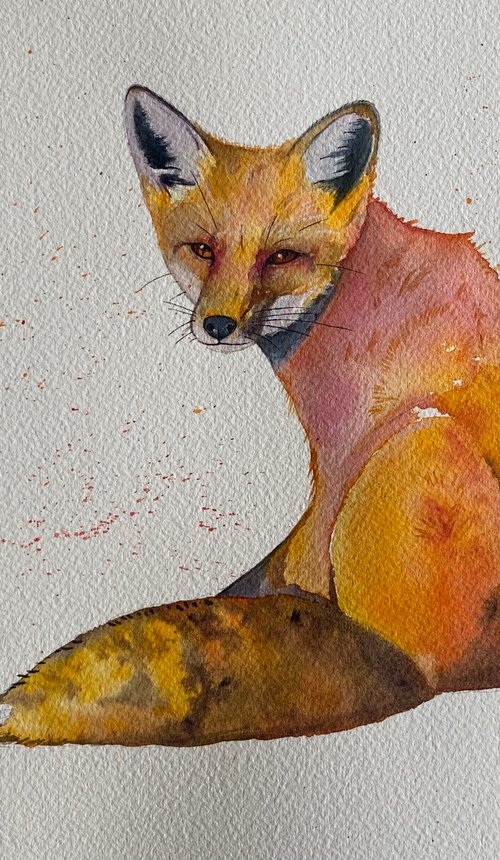 The curious fox watercolour painting. by Bethany Taylor