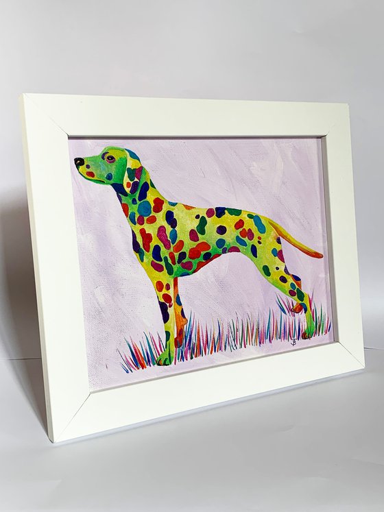 Rainbow Dalmation