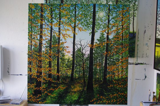 Early Autumn in Delamere