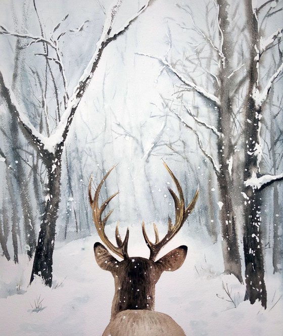Follow Me!  - Stag Deer in Winter Forest