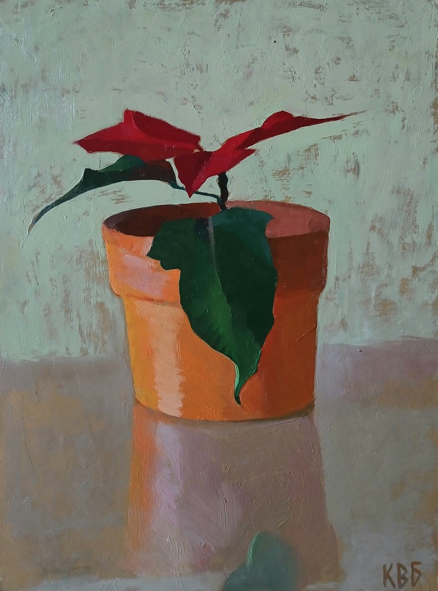 Poinsettia By Vasyl Koval, 9 X 12, Artwork For Sale On Artfinder