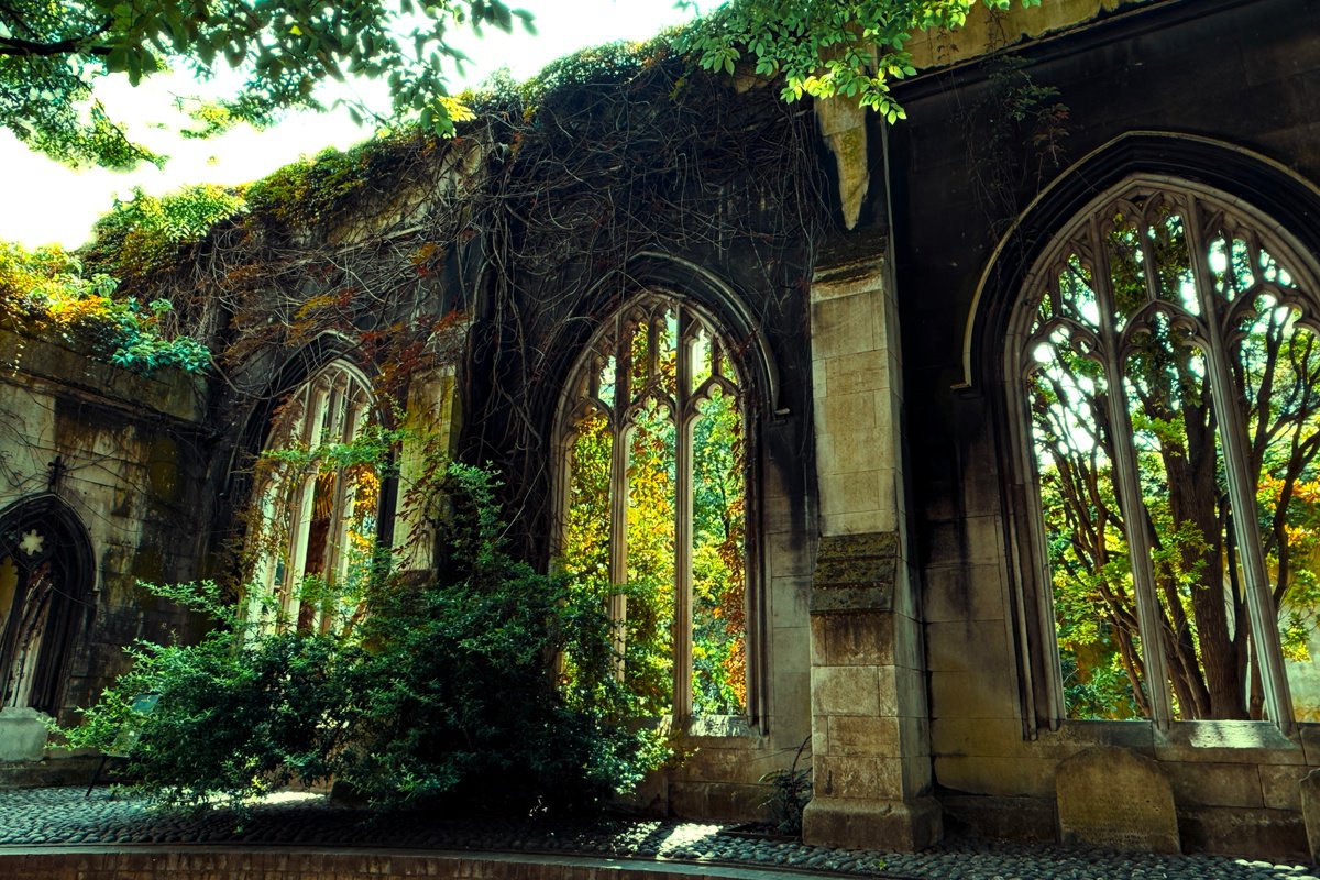 Cityscapes Photograph By Tatiana Zappa, 59 X 39", Through Time, Original Artwork