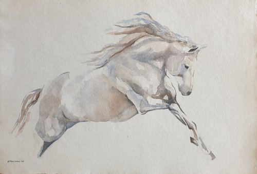 Wild Horse by Andriana Fakinou