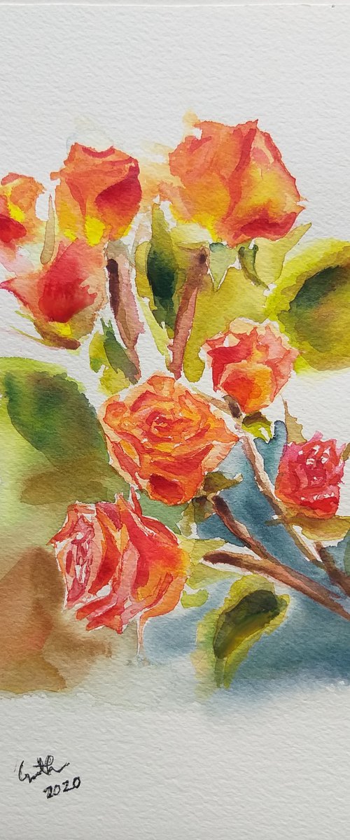 Roses in watercolor by Geeta Yerra