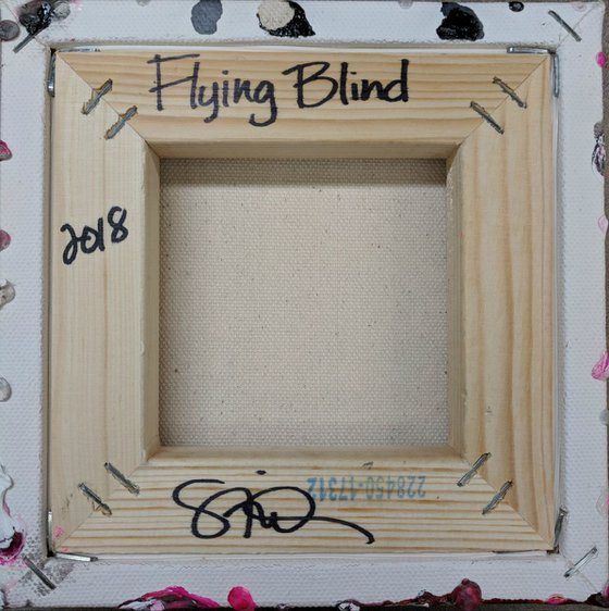 Flying Blind - Mixie