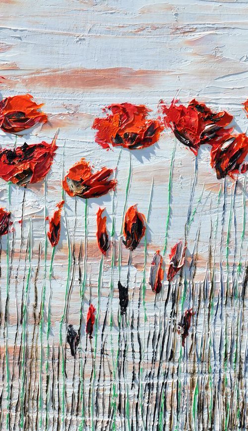 Wild Poppies 3 by Daniel Urbaník